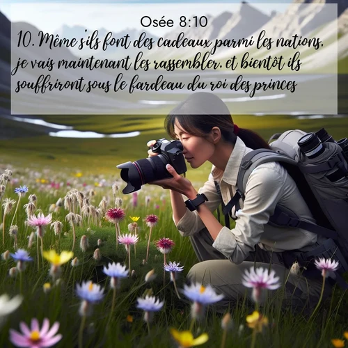 Segond21 Osée  ; image nature: image avec le verset biblique :Même s&#039;ils font des cadeaux parmi les nations, je vais maintenant les rassembler, et bientôt ils souffriront sous le fardeau du roi des princes. ;  ; 8:10