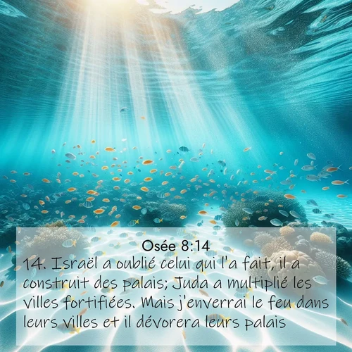Segond21 Osée  ; image nature: image avec le verset biblique :Israël a oublié celui qui l&#039;a fait, il a construit des palais; Juda a multiplié les villes fortifiées. Mais j&#039;enverrai le feu dans leurs villes et il dévorera leurs palais. ;  ; 8:14