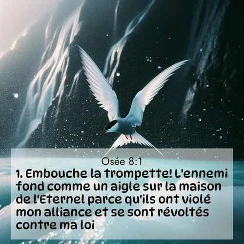 Segond21 Osée  ; image nature: image avec le verset biblique :Embouche la trompette! L&#039;ennemi fond comme un aigle sur la maison de l&#039;Eternel parce qu&#039;ils ont violé mon alliance et se sont révoltés contre ma loi. ;  ; 8:1
