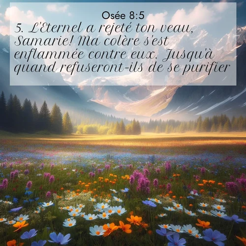 Segond21 Osée  ; image nature: image avec le verset biblique :L&#039;Eternel a rejeté ton veau, Samarie! Ma colère s&#039;est enflammée contre eux. Jusqu&#039;à quand refuseront-ils de se purifier? ;  ; 8:5