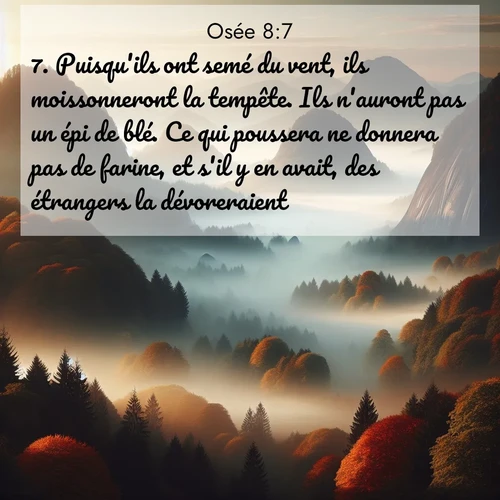 Segond21 Osée  ; image nature: image avec le verset biblique :Puisqu&#039;ils ont semé du vent, ils moissonneront la tempête. Ils n&#039;auront pas un épi de blé. Ce qui poussera ne donnera pas de farine, et s&#039;il y en avait, des étrangers la dévoreraient. ;  ; 8:7