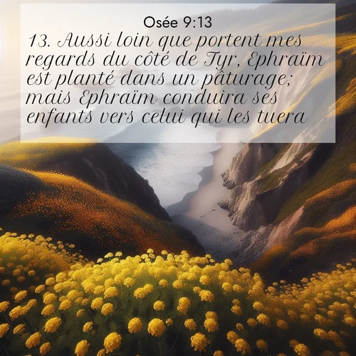 Segond21 Osée  ; image nature: image avec le verset biblique :Aussi loin que portent mes regards du côté de Tyr, Ephraïm est planté dans un pâturage; mais Ephraïm conduira ses enfants vers celui qui les tuera. ;  ; 9:13