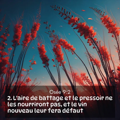 Segond21 Osée  ; image nature: image avec le verset biblique :L&#039;aire de battage et le pressoir ne les nourriront pas, et le vin nouveau leur fera défaut. ;  ; 9:2