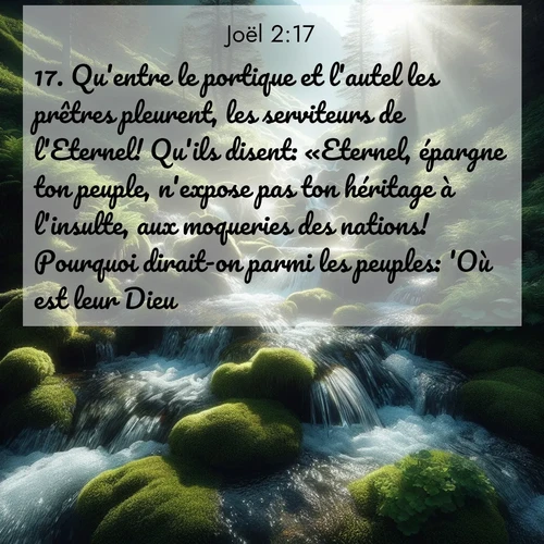 Segond21 Joël  ; image nature: image avec le verset biblique :Qu&#039;entre le portique et l&#039;autel les prêtres pleurent, les serviteurs de l&#039;Eternel! Qu&#039;ils disent: «Eternel, épargne ton peuple, n&#039;expose pas ton héritage à l&#039;insulte, aux moqueries des nations! Pourquoi dirait-on parmi les peuples: &#039;Où est leur Dieu?&#039;» ;  ; 2:17
