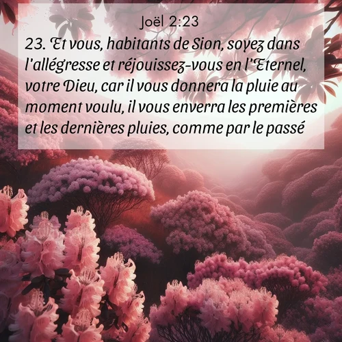Segond21 Joël  ; image nature: image avec le verset biblique :Et vous, habitants de Sion, soyez dans l&#039;allégresse et réjouissez-vous en l&#039;Eternel, votre Dieu, car il vous donnera la pluie au moment voulu, il vous enverra les premières et les dernières pluies, comme par le passé. ;  ; 2:23