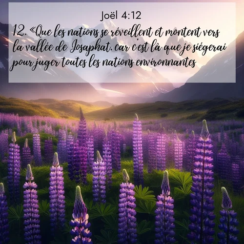 Segond21 Joël  ; image nature: image avec le verset biblique :«Que les nations se réveillent et montent vers la vallée de Josaphat, car c&#039;est là que je siégerai pour juger toutes les nations environnantes. ;  ; 4:12