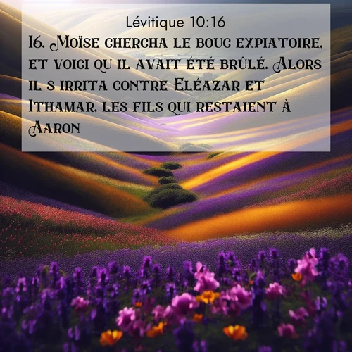 Segond21 Lévitique  ; image nature: image avec le verset biblique :Moïse chercha le bouc expiatoire, et voici qu&#039;il avait été brûlé. Alors il s&#039;irrita contre Eléazar et Ithamar, les fils qui restaient à Aaron: ;  ; 10:16