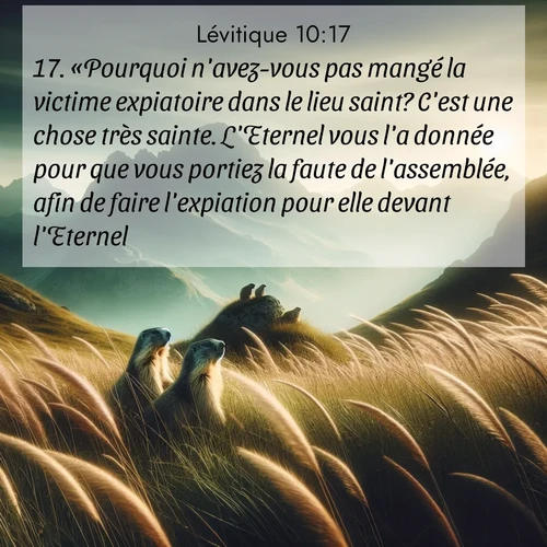Segond21 Lévitique  ; image nature: image avec le verset biblique :«Pourquoi n&#039;avez-vous pas mangé la victime expiatoire dans le lieu saint? C&#039;est une chose très sainte. L&#039;Eternel vous l&#039;a donnée pour que vous portiez la faute de l&#039;assemblée, afin de faire l&#039;expiation pour elle devant l&#039;Eternel. ;  ; 10:17