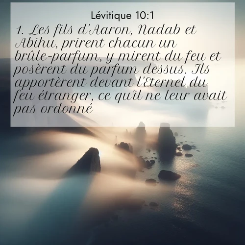 Segond21 Lévitique  ; image nature: image avec le verset biblique :Les fils d&#039;Aaron, Nadab et Abihu, prirent chacun un brûle-parfum, y mirent du feu et posèrent du parfum dessus. Ils apportèrent devant l&#039;Eternel du feu étranger, ce qu&#039;il ne leur avait pas ordonné. ;  ; 10:1