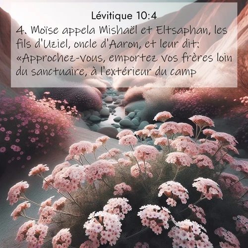 Segond21 Lévitique  ; image nature: image avec le verset biblique :Moïse appela Mishaël et Eltsaphan, les fils d&#039;Uziel, oncle d&#039;Aaron, et leur dit: «Approchez-vous, emportez vos frères loin du sanctuaire, à l&#039;extérieur du camp.» ;  ; 10:4