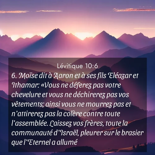 Segond21 Lévitique  ; image nature: image avec le verset biblique :Moïse dit à Aaron et à ses fils Eléazar et Ithamar: «Vous ne déferez pas votre chevelure et vous ne déchirerez pas vos vêtements; ainsi vous ne mourrez pas et n&#039;attirerez pas la colère contre toute l&#039;assemblée. Laissez vos frères, toute la communauté d&#039;Israël, pleurer sur le brasier que l&#039;Eternel a allumé. ;  ; 10:6