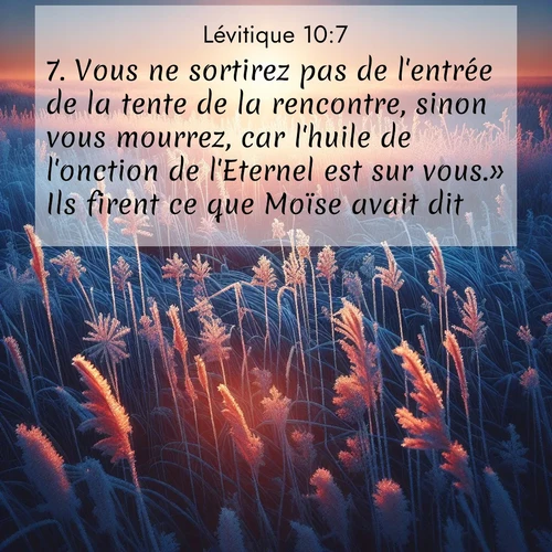 Segond21 Lévitique  ; image nature: image avec le verset biblique :Vous ne sortirez pas de l&#039;entrée de la tente de la rencontre, sinon vous mourrez, car l&#039;huile de l&#039;onction de l&#039;Eternel est sur vous.» Ils firent ce que Moïse avait dit. ;  ; 10:7