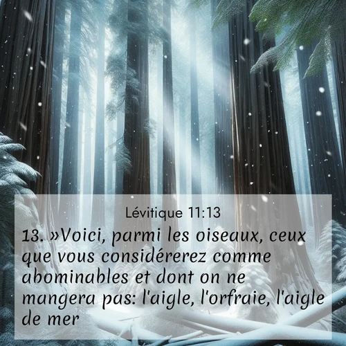 Segond21 Lévitique  ; image nature: image avec le verset biblique :»Voici, parmi les oiseaux, ceux que vous considérerez comme abominables et dont on ne mangera pas: l&#039;aigle, l&#039;orfraie, l&#039;aigle de mer, ;  ; 11:13