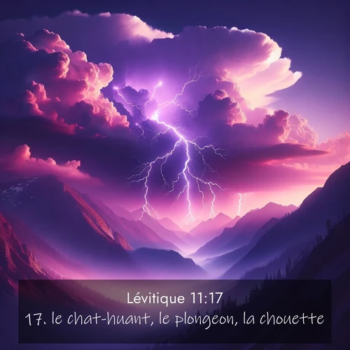 Segond21 Lévitique  ; image nature: image avec le verset biblique :le chat-huant, le plongeon, la chouette, ;  ; 11:17