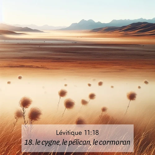 Segond21 Lévitique  ; image nature: image avec le verset biblique :le cygne, le pélican, le cormoran, ;  ; 11:18