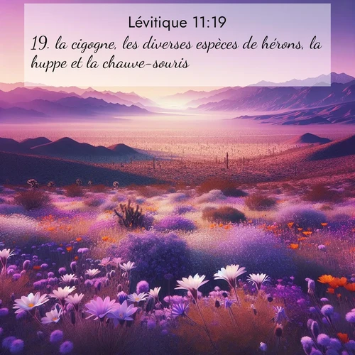 Segond21 Lévitique  ; image nature: image avec le verset biblique :la cigogne, les diverses espèces de hérons, la huppe et la chauve-souris. ;  ; 11:19