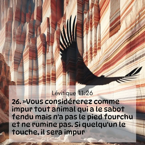 Segond21 Lévitique  ; image nature: image avec le verset biblique :»Vous considérerez comme impur tout animal qui a le sabot fendu mais n&#039;a pas le pied fourchu et ne rumine pas. Si quelqu&#039;un le touche, il sera impur. ;  ; 11:26