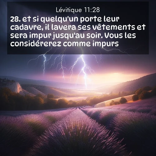 Segond21 Lévitique  ; image nature: image avec le verset biblique :et si quelqu&#039;un porte leur cadavre, il lavera ses vêtements et sera impur jusqu&#039;au soir. Vous les considérerez comme impurs. ;  ; 11:28