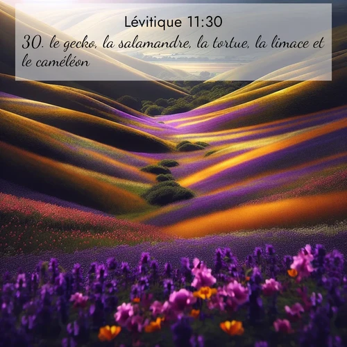 Segond21 Lévitique  ; image nature: image avec le verset biblique :le gecko, la salamandre, la tortue, la limace et le caméléon. ;  ; 11:30