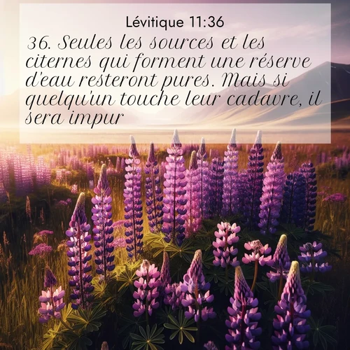 Segond21 Lévitique  ; image nature: image avec le verset biblique :Seules les sources et les citernes qui forment une réserve d&#039;eau resteront pures. Mais si quelqu&#039;un touche leur cadavre, il sera impur. ;  ; 11:36
