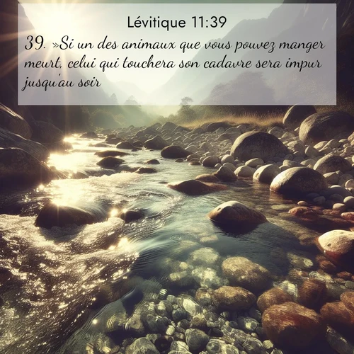 Segond21 Lévitique  ; image nature: image avec le verset biblique :»Si un des animaux que vous pouvez manger meurt, celui qui touchera son cadavre sera impur jusqu&#039;au soir. ;  ; 11:39