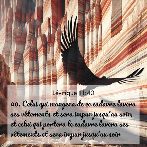 Segond21 Lévitique  ; image nature: image avec le verset biblique :Celui qui mangera de ce cadavre lavera ses vêtements et sera impur jusqu&#039;au soir, et celui qui portera le cadavre lavera ses vêtements et sera impur jusqu&#039;au soir. ;  ; 11:40