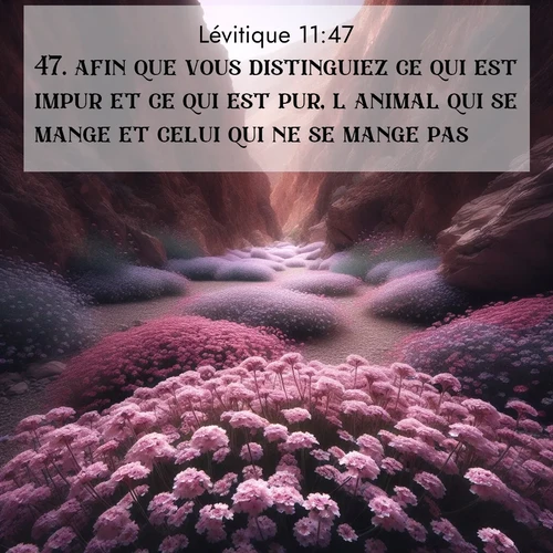 Segond21 Lévitique  ; image nature: image avec le verset biblique :afin que vous distinguiez ce qui est impur et ce qui est pur, l&#039;animal qui se mange et celui qui ne se mange pas.» ;  ; 11:47