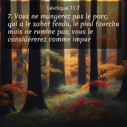 Segond21 Lévitique  ; image nature: image avec le verset biblique :Vous ne mangerez pas le porc, qui a le sabot fendu, le pied fourchu mais ne rumine pas; vous le considérerez comme impur. ;  ; 11:7