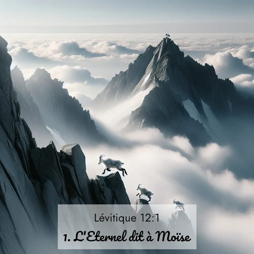 Segond21 Lévitique  ; image nature: image avec le verset biblique :L&#039;Eternel dit à Moïse: ;  ; 12:1