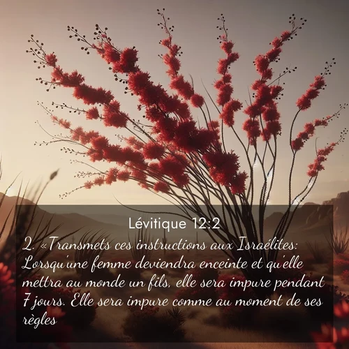 Segond21 Lévitique  ; image nature: image avec le verset biblique :«Transmets ces instructions aux Israélites: Lorsqu&#039;une femme deviendra enceinte et qu&#039;elle mettra au monde un fils, elle sera impure pendant 7 jours. Elle sera impure comme au moment de ses règles. ;  ; 12:2