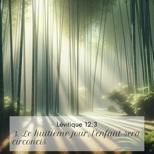 Segond21 Lévitique  ; image nature: image avec le verset biblique :Le huitième jour, l&#039;enfant sera circoncis. ;  ; 12:3