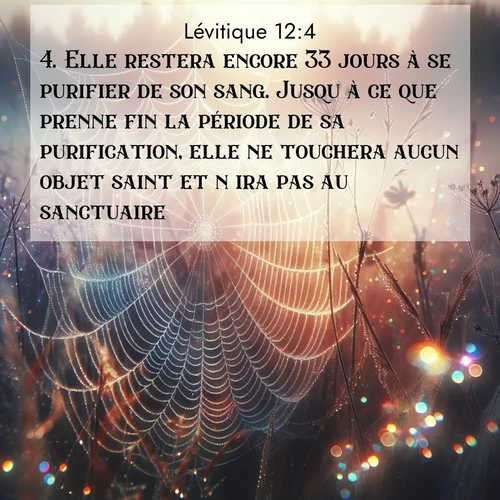 Segond21 Lévitique  ; image nature: image avec le verset biblique :Elle restera encore 33 jours à se purifier de son sang. Jusqu&#039;à ce que prenne fin la période de sa purification, elle ne touchera aucun objet saint et n&#039;ira pas au sanctuaire. ;  ; 12:4
