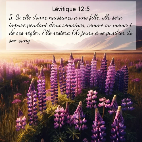 Segond21 Lévitique  ; image nature: image avec le verset biblique :Si elle donne naissance à une fille, elle sera impure pendant deux semaines, comme au moment de ses règles. Elle restera 66 jours à se purifier de son sang. ;  ; 12:5