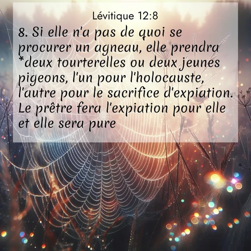 Segond21 Lévitique  ; image nature: image avec le verset biblique :Si elle n&#039;a pas de quoi se procurer un agneau, elle prendra *deux tourterelles ou deux jeunes pigeons, l&#039;un pour l&#039;holocauste, l&#039;autre pour le sacrifice d&#039;expiation. Le prêtre fera l&#039;expiation pour elle et elle sera pure.» ;  ; 12:8
