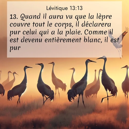 Segond21 Lévitique  ; image nature: image avec le verset biblique :Quand il aura vu que la lèpre couvre tout le corps, il déclarera pur celui qui a la plaie. Comme il est devenu entièrement blanc, il est pur. ;  ; 13:13