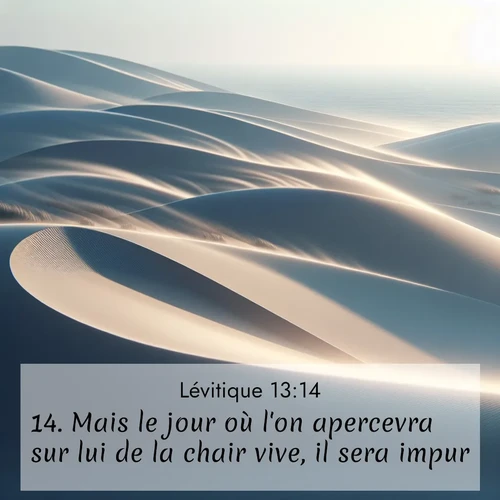Segond21 Lévitique  ; image nature: image avec le verset biblique :Mais le jour où l&#039;on apercevra sur lui de la chair vive, il sera impur. ;  ; 13:14
