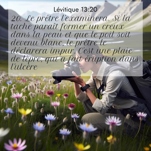 Segond21 Lévitique  ; image nature: image avec le verset biblique :Le prêtre l&#039;examinera. Si la tache paraît former un creux dans la peau et que le poil soit devenu blanc, le prêtre le déclarera impur. C&#039;est une plaie de lèpre, qui a fait éruption dans l&#039;ulcère. ;  ; 13:20
