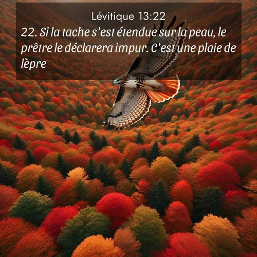 Segond21 Lévitique  ; image nature: image avec le verset biblique :Si la tache s&#039;est étendue sur la peau, le prêtre le déclarera impur. C&#039;est une plaie de lèpre. ;  ; 13:22