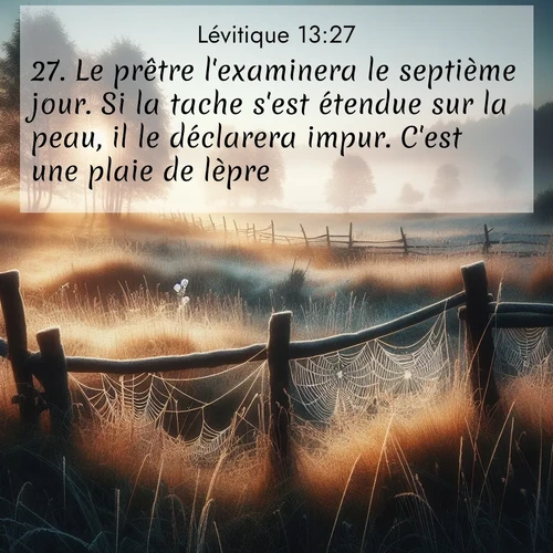 Segond21 Lévitique  ; image nature: image avec le verset biblique :Le prêtre l&#039;examinera le septième jour. Si la tache s&#039;est étendue sur la peau, il le déclarera impur. C&#039;est une plaie de lèpre. ;  ; 13:27