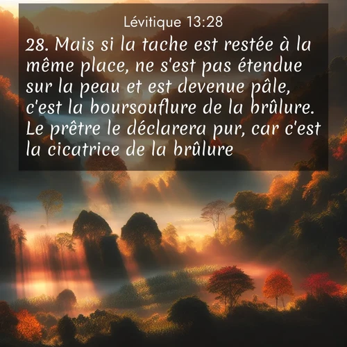 Segond21 Lévitique  ; image nature: image avec le verset biblique :Mais si la tache est restée à la même place, ne s&#039;est pas étendue sur la peau et est devenue pâle, c&#039;est la boursouflure de la brûlure. Le prêtre le déclarera pur, car c&#039;est la cicatrice de la brûlure. ;  ; 13:28