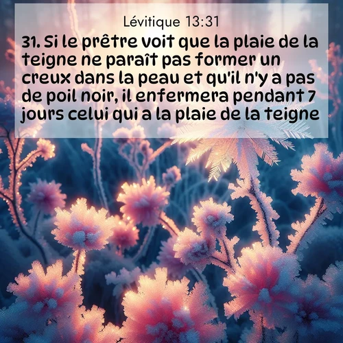 Segond21 Lévitique  ; image nature: image avec le verset biblique :Si le prêtre voit que la plaie de la teigne ne paraît pas former un creux dans la peau et qu&#039;il n&#039;y a pas de poil noir, il enfermera pendant 7 jours celui qui a la plaie de la teigne. ;  ; 13:31
