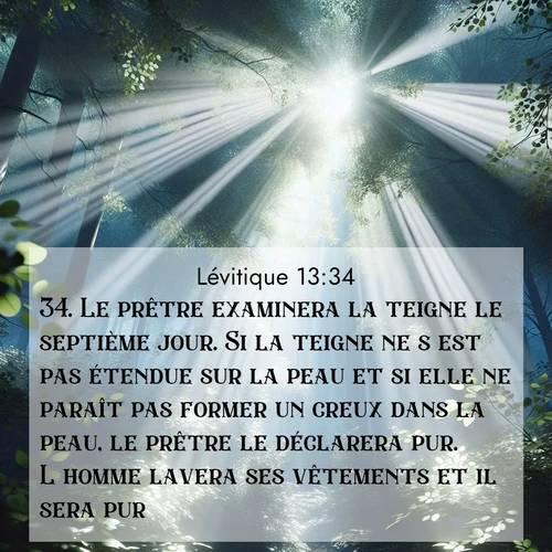 Segond21 Lévitique  ; image nature: image avec le verset biblique :Le prêtre examinera la teigne le septième jour. Si la teigne ne s&#039;est pas étendue sur la peau et si elle ne paraît pas former un creux dans la peau, le prêtre le déclarera pur. L&#039;homme lavera ses vêtements et il sera pur. ;  ; 13:34