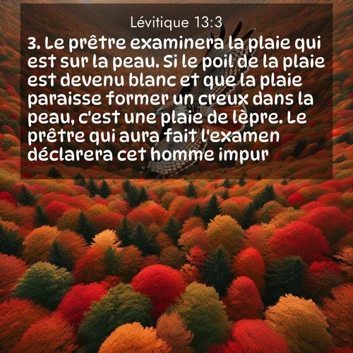 Segond21 Lévitique  ; image nature: image avec le verset biblique :Le prêtre examinera la plaie qui est sur la peau. Si le poil de la plaie est devenu blanc et que la plaie paraisse former un creux dans la peau, c&#039;est une plaie de lèpre. Le prêtre qui aura fait l&#039;examen déclarera cet homme impur. ;  ; 13:3