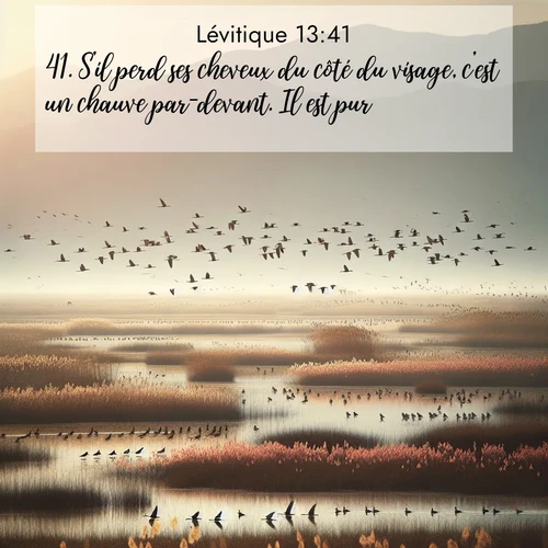 Segond21 Lévitique  ; image nature: image avec le verset biblique :S&#039;il perd ses cheveux du côté du visage, c&#039;est un chauve par-devant. Il est pur. ;  ; 13:41