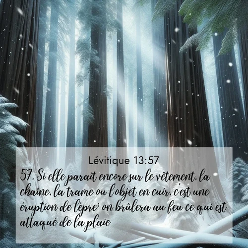 Segond21 Lévitique  ; image nature: image avec le verset biblique :Si elle paraît encore sur le vêtement, la chaîne, la trame ou l&#039;objet en cuir, c&#039;est une éruption de lèpre: on brûlera au feu ce qui est attaqué de la plaie. ;  ; 13:57