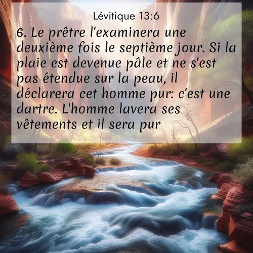 Segond21 Lévitique  ; image nature: image avec le verset biblique :Le prêtre l&#039;examinera une deuxième fois le septième jour. Si la plaie est devenue pâle et ne s&#039;est pas étendue sur la peau, il déclarera cet homme pur: c&#039;est une dartre. L&#039;homme lavera ses vêtements et il sera pur. ;  ; 13:6