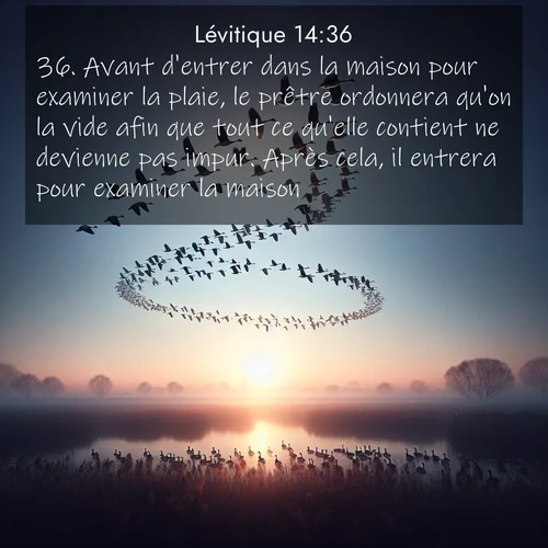 Segond21 Lévitique  ; image nature: image avec le verset biblique :Avant d&#039;entrer dans la maison pour examiner la plaie, le prêtre ordonnera qu&#039;on la vide afin que tout ce qu&#039;elle contient ne devienne pas impur. Après cela, il entrera pour examiner la maison. ;  ; 14:36