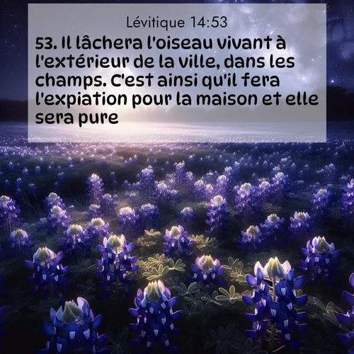 Segond21 Lévitique  ; image nature: image avec le verset biblique :Il lâchera l&#039;oiseau vivant à l&#039;extérieur de la ville, dans les champs. C&#039;est ainsi qu&#039;il fera l&#039;expiation pour la maison et elle sera pure.» ;  ; 14:53