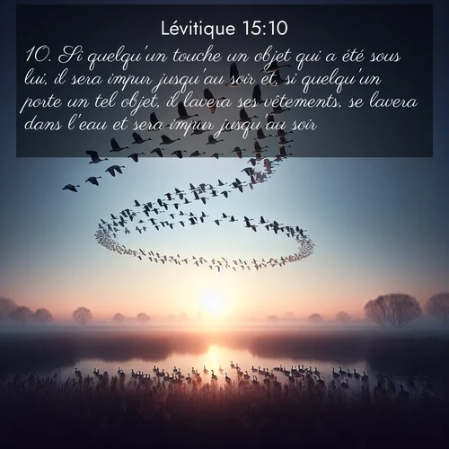 Segond21 Lévitique  ; image nature: image avec le verset biblique :Si quelqu&#039;un touche un objet qui a été sous lui, il sera impur jusqu&#039;au soir et, si quelqu&#039;un porte un tel objet, il lavera ses vêtements, se lavera dans l&#039;eau et sera impur jusqu&#039;au soir. ;  ; 15:10