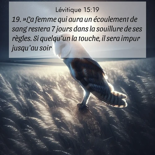Segond21 Lévitique  ; image nature: image avec le verset biblique :»La femme qui aura un écoulement de sang restera 7 jours dans la souillure de ses règles. Si quelqu&#039;un la touche, il sera impur jusqu&#039;au soir. ;  ; 15:19